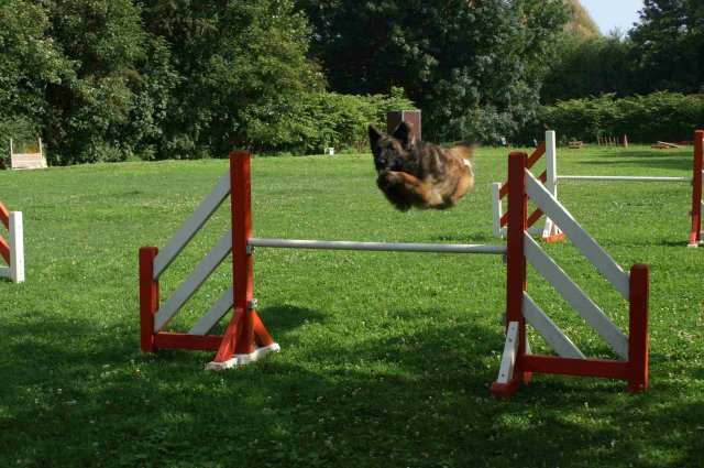 agility 2011-08